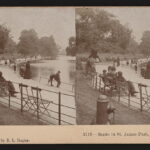 Old stereograph of St. James's Park, London, England, taken in 1896