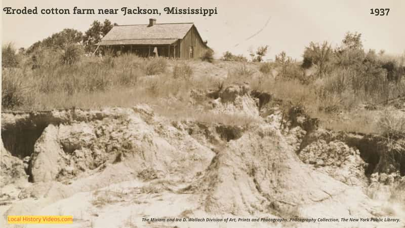 old photo of 1937 eroded cotton farm near Jackson Mississippii