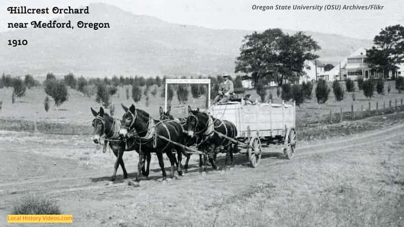 old photo of Hillcrest Orchard near Medford Oregon