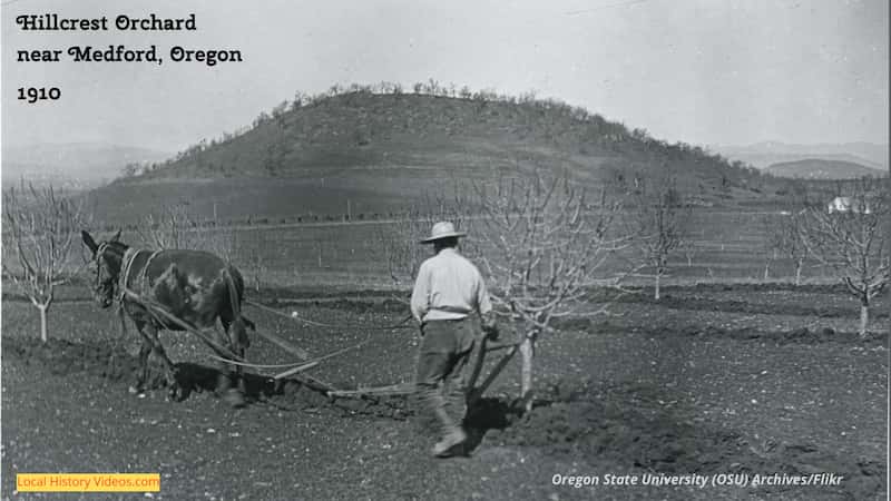 Old photo of a horse plow at Hillcrest Orchard near Medford, Oregon