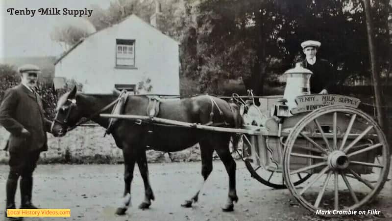 old photo of Tenby Milk Supply merchant horse and cart