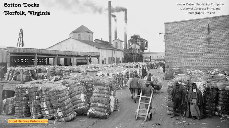 Closeup of the cotton docks at Norfolk, Virginia, taken around the beginning of the 20th Century