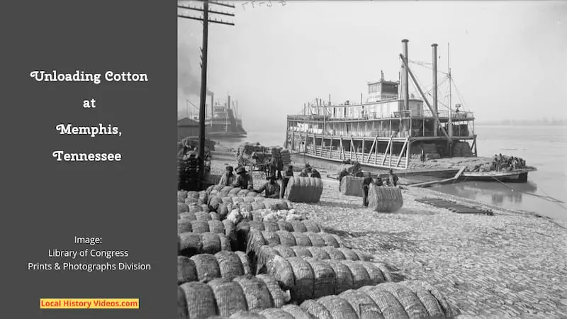 Old photo of men unloading cotton at Memphis, Tennessee, probably taken in the early years of the 20th Century.