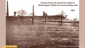 Old photo of the dead trees surrounding the Chemical Works at Washington in North East England, taken in 1890