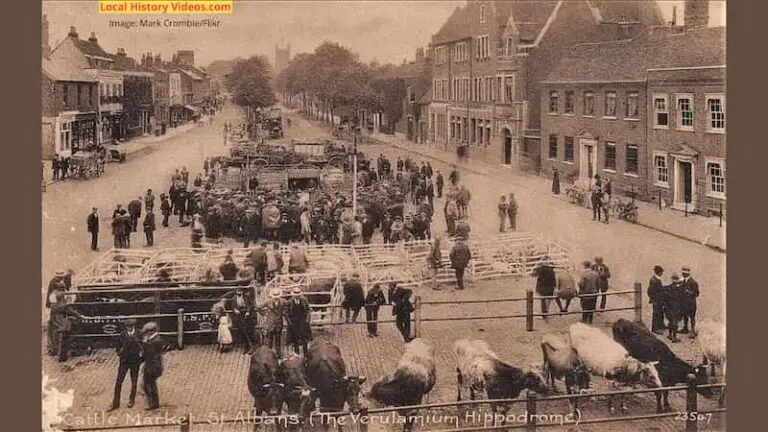 Old photo of the Cattle Market at the Verulamium Hippodrome St Albans Hertfordshire