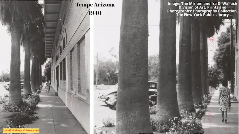 Old photo of a Palm lined sidewalk at Tempe Arizona 1940