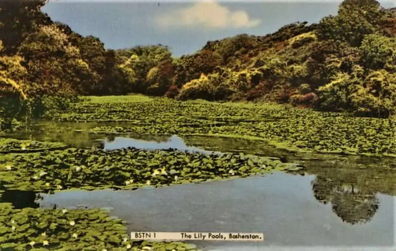 Old photo postcard of the Lily Pond, Bosherton, Pembrokeshire, Wales