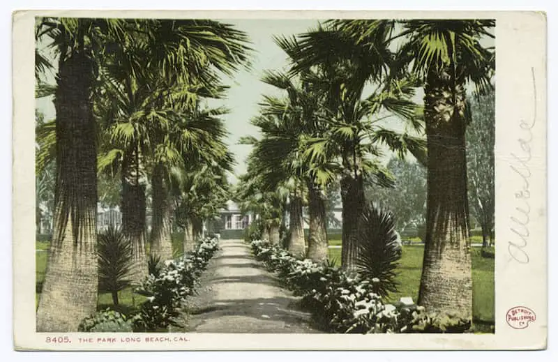 Vintage postcard of The Park, Long Beach, California.