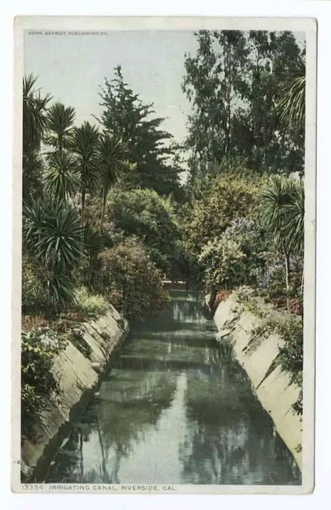 Old postcard of an Irrigating Canal, Riverside, California