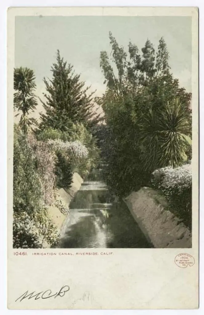 Old postcard of an Irrigation Canal, Riverside, California, USA