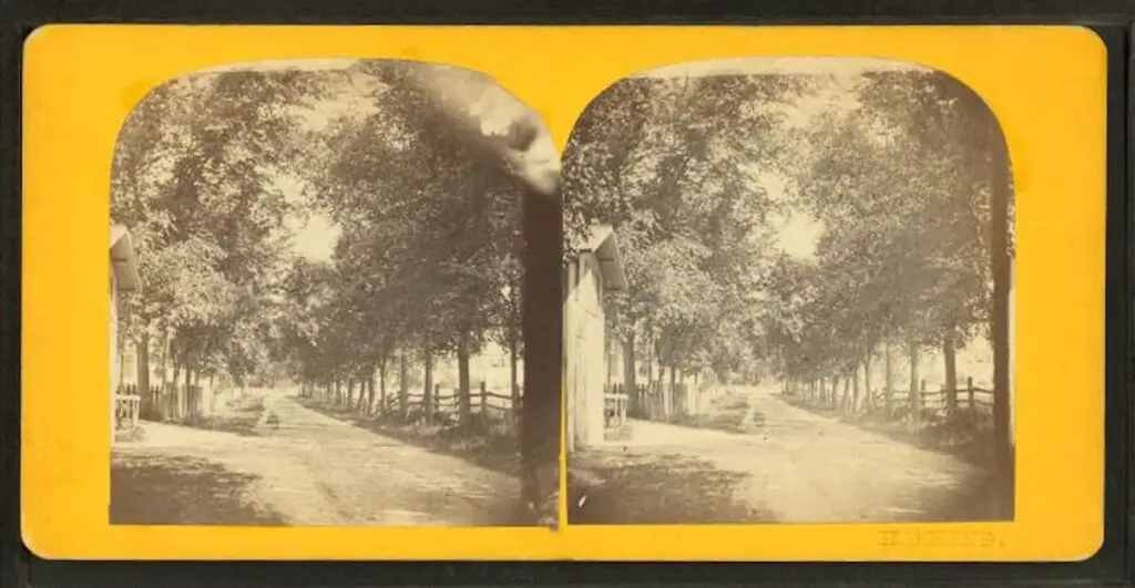 Old stereograph photo of Trescott Street, Taunton, Massachusetts