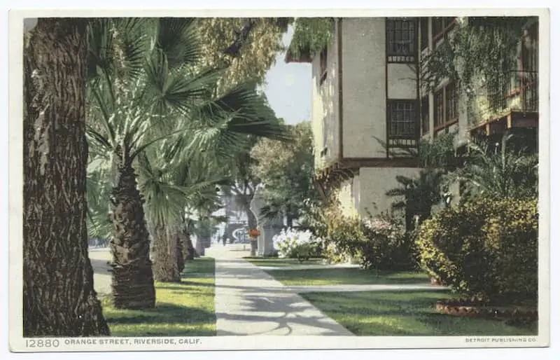 Vintage Postcard of Orange Street, Riverside, California, circa 1909