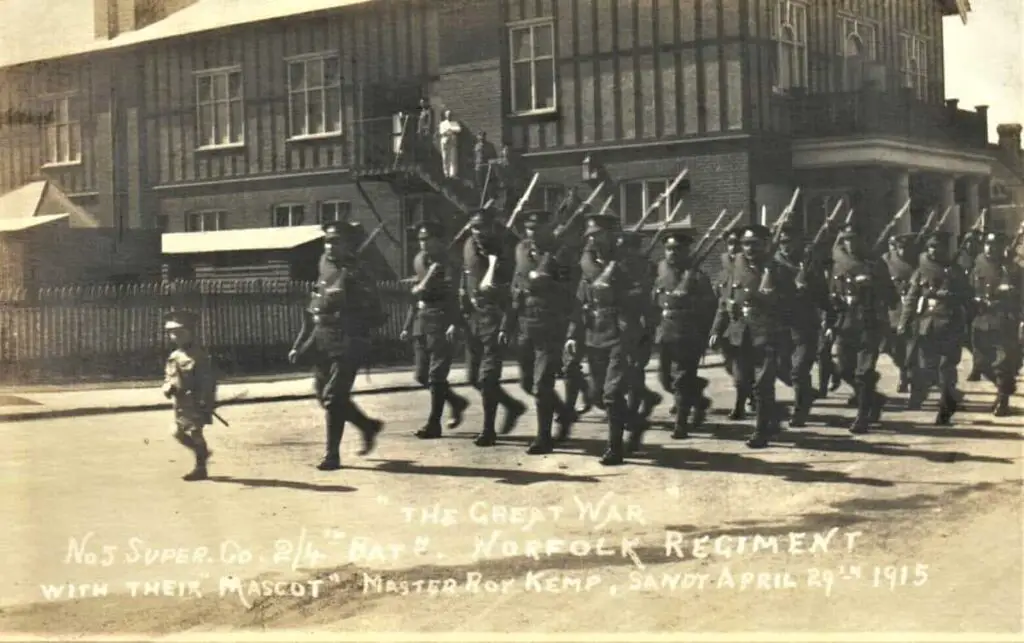 Vintage postcard of the Norfolk Regiment and their little mascot Roy Kemp marching through Sandy in Bedfordshire in 1915 during the Great War