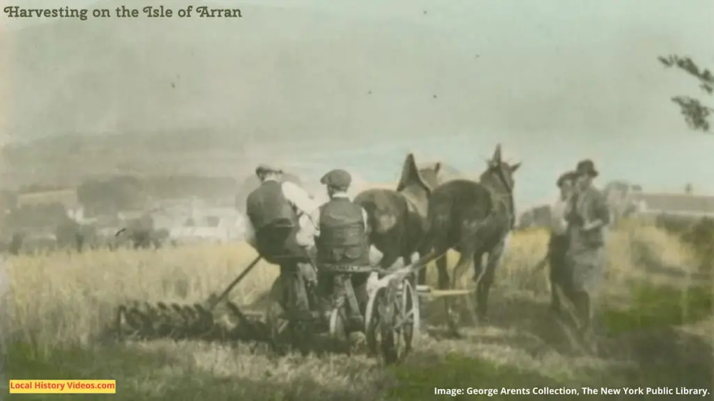 Old cigarette card of harvesting on the Isle of Arran, Scotland
