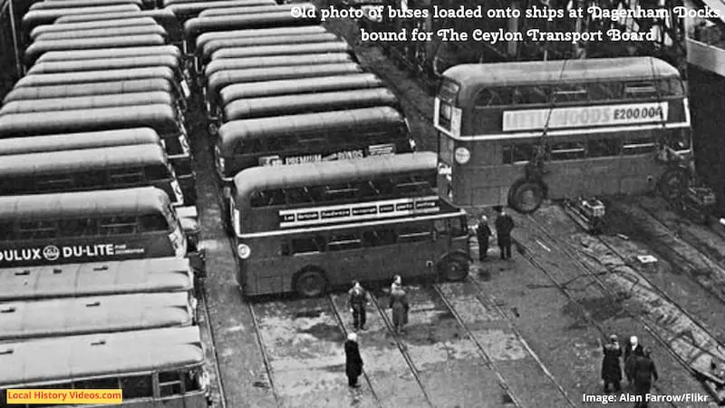 Old photo of buses loaded onto ships at Dagenham Docks, bound for The Ceylon Transport Board