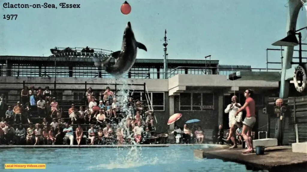 Vintage photo postcard of a dolphin show at Clacton-on-Sea, circa 1977