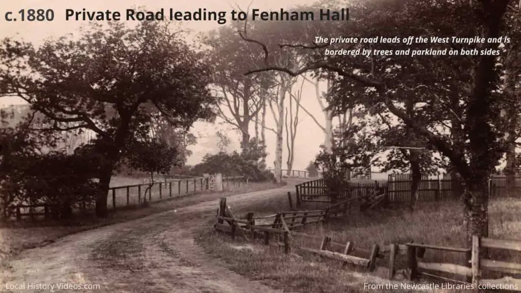 Old photo of the private road leading to Fenham Hall, Newcastle upon Tyne, circa 1880